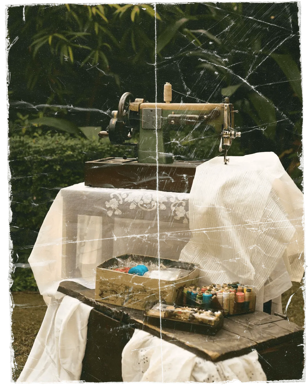 D'muri brand story vintage sewing machine with colourful thread spools and white sheer fabric, set among lush foliage